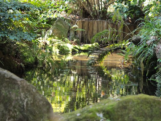 お鷹の道・真姿の池湧水群