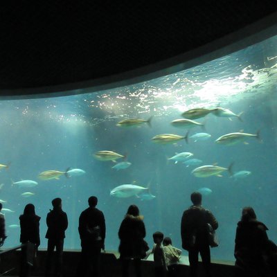 葛西臨海水族園