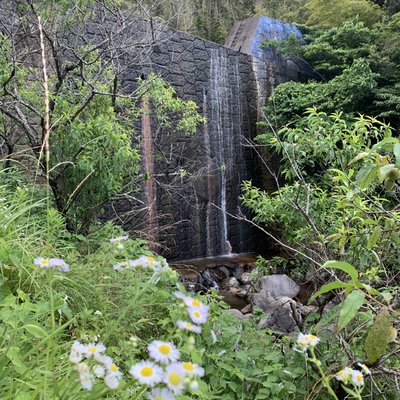 加茂ゆらりんこ橋