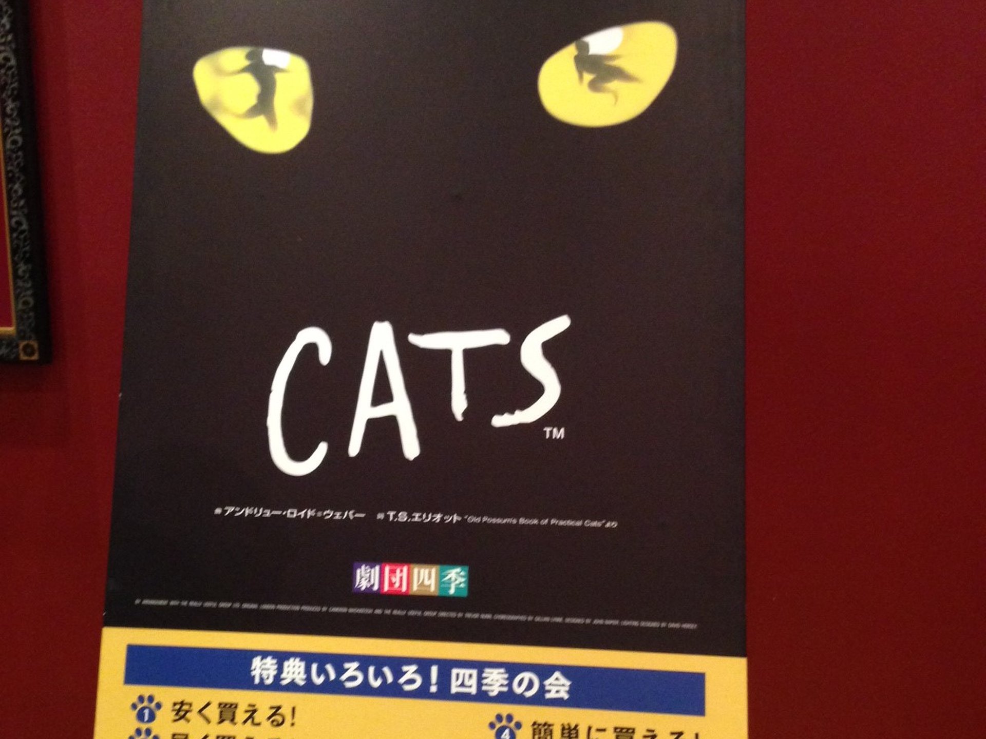 【札幌】劇団四季「CATS」鑑賞♪ランチは近くのオシャレ隠れ家イタリアン「YOSHIE」がおすすめ☆