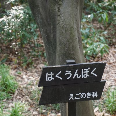 国立科学博物館附属自然教育園