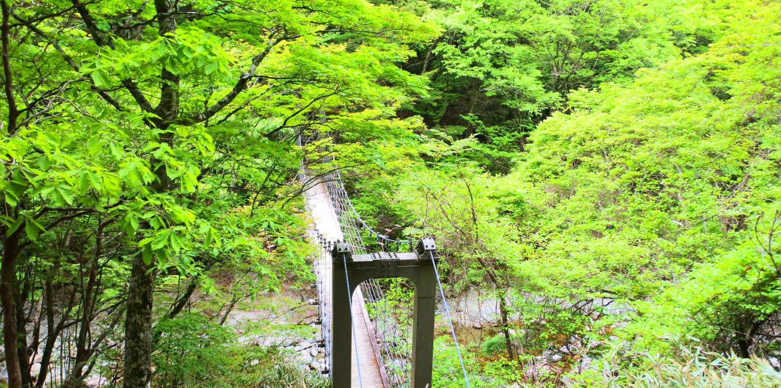 大台ケ原(日出ヶ岳)