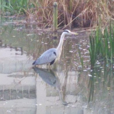 舞鶴公園