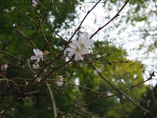 東慶寺