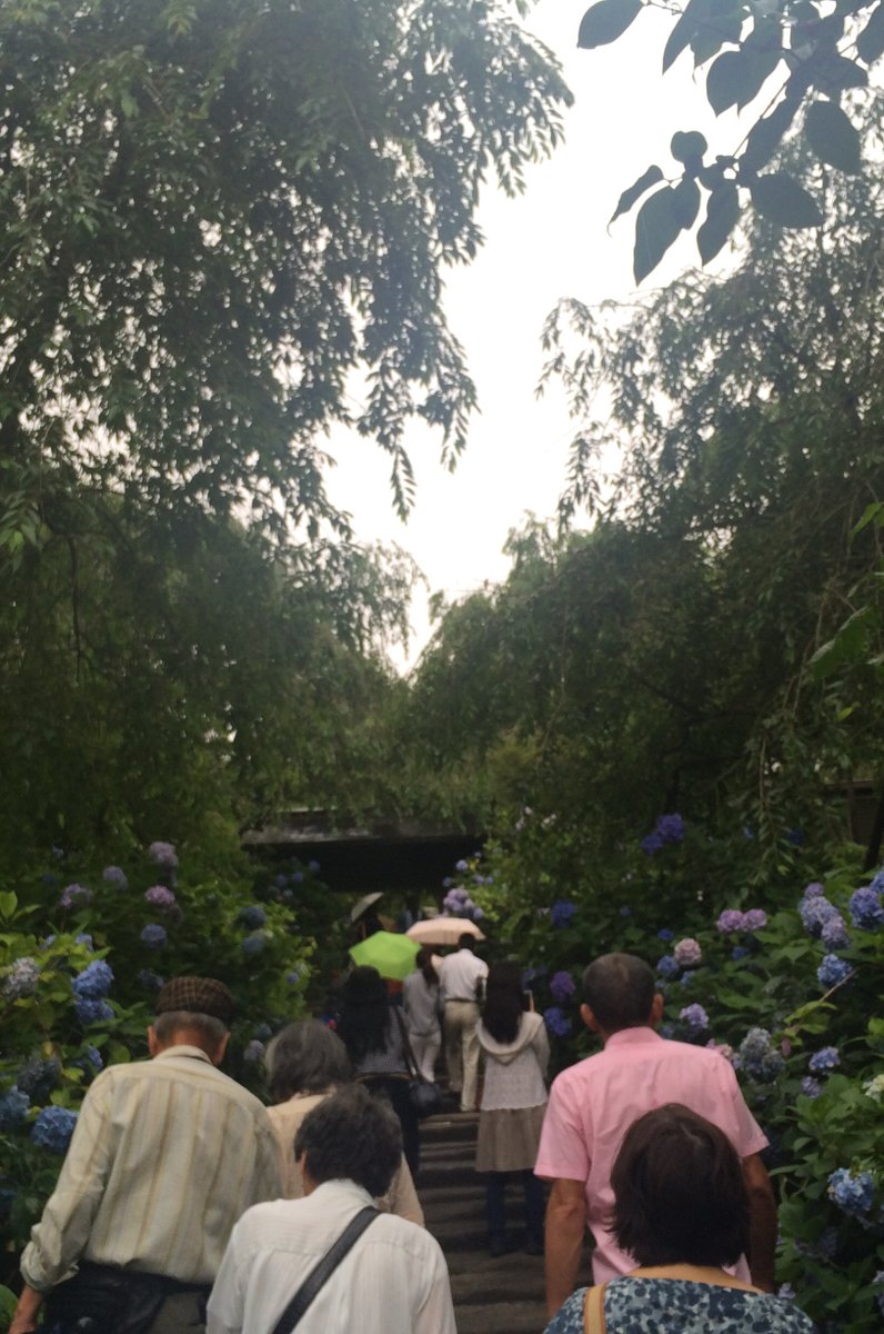 明月院(あじさい寺)