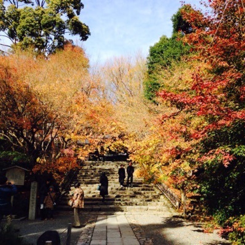 龍安寺