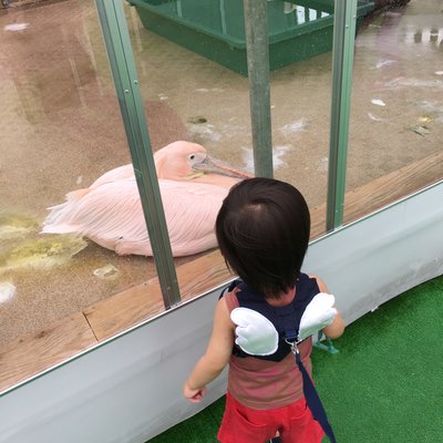 サンシャイン水族館