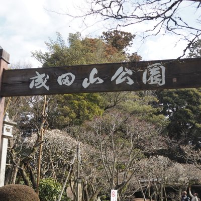 成田山公園内梅林