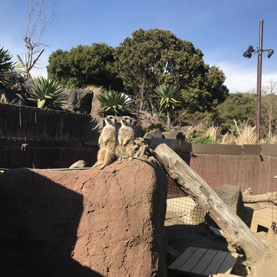 伊豆シャボテン動物公園