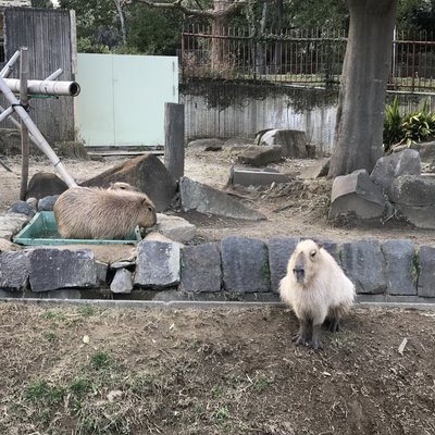 金沢動物園