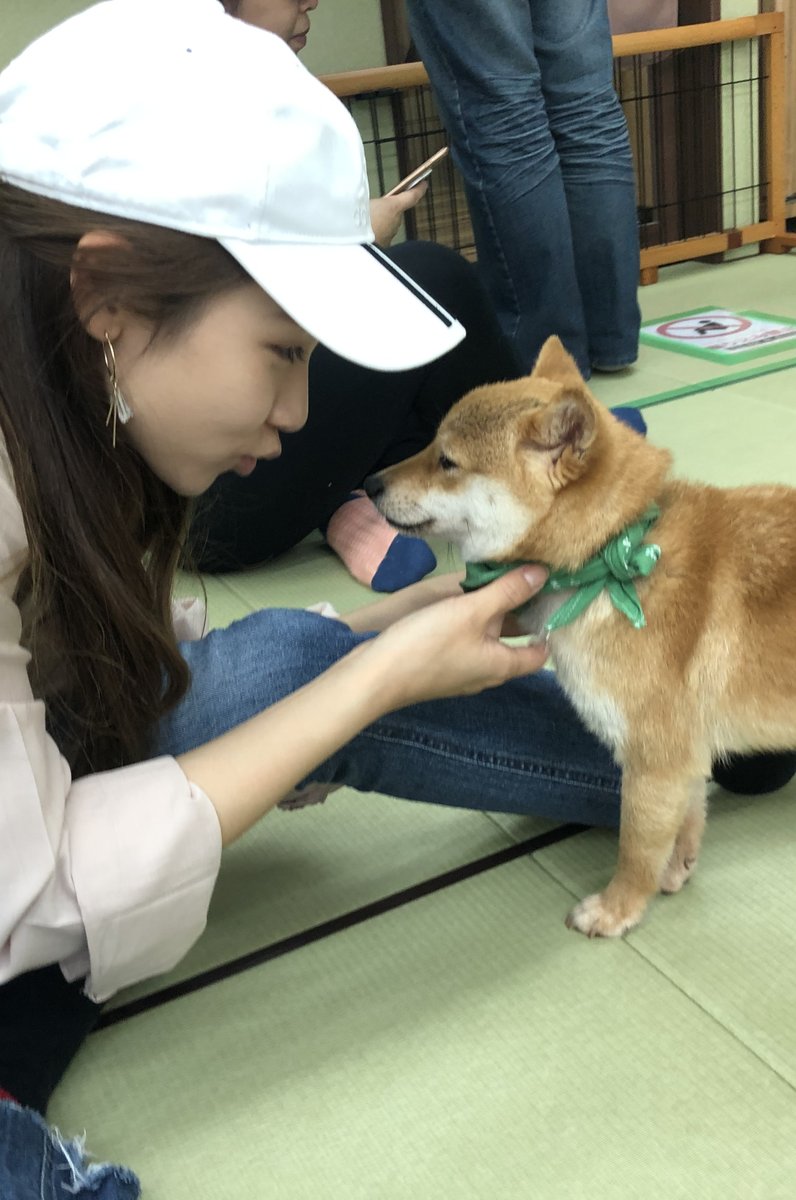 小豆柴の郷 秋葉原店