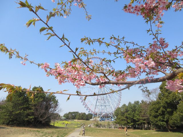 葛西臨海公園デート カップルで行くべきおすすめスポット5選 Playlife プレイライフ