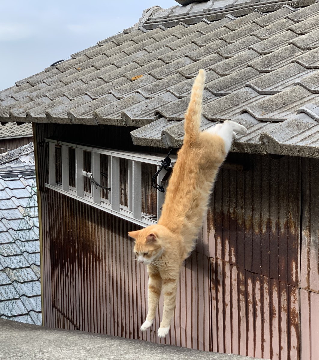 男木島