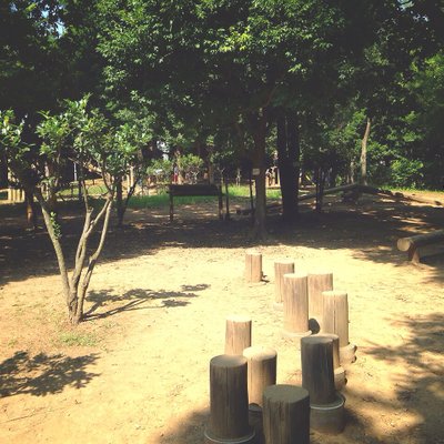 平和の森公園 フィールドアスレチック 