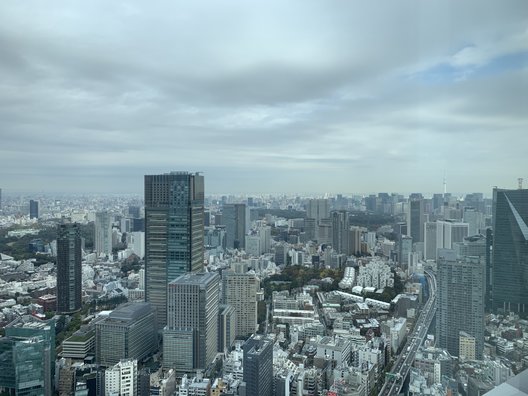 東京シティビュー