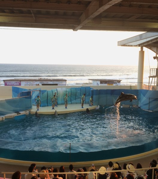 新江ノ島水族館