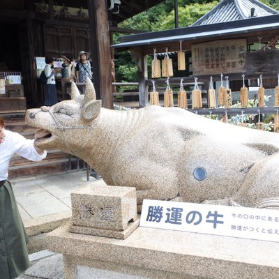 三室戸寺