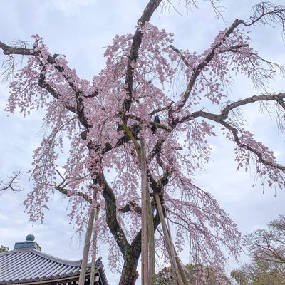 東漸寺