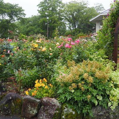 箱根強羅公園