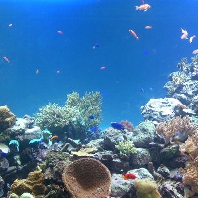 サンシャイン水族館