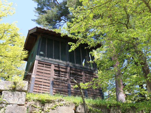 鶴ヶ城(若松城)