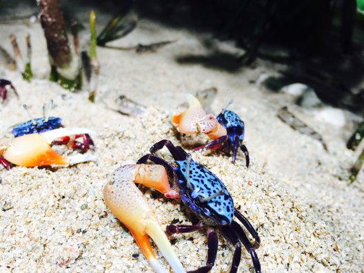 サンシャイン水族館