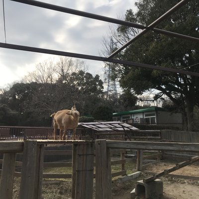 金沢動物園