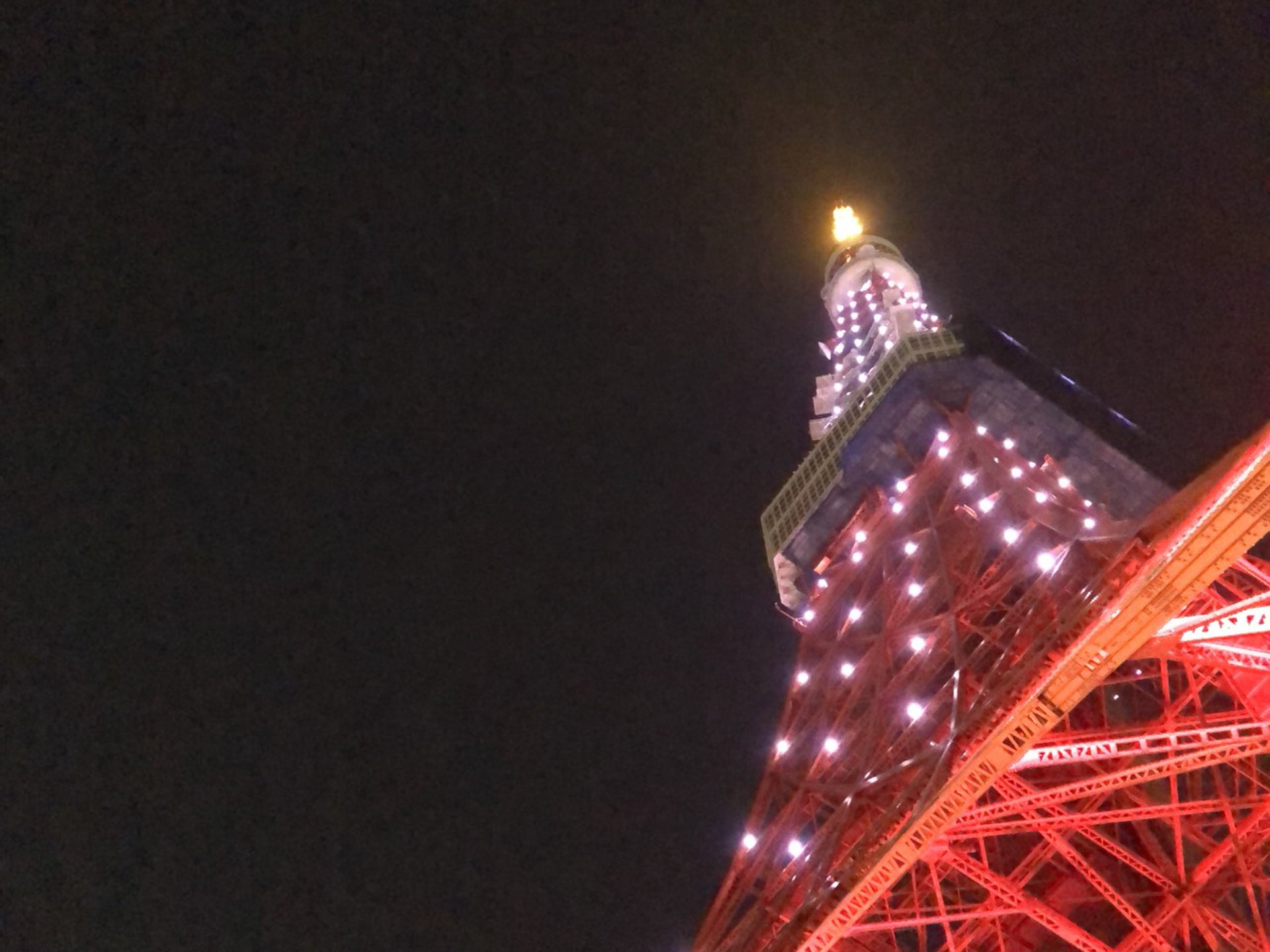 芝公園から始まる夜桜を満喫するお散歩デートプラン