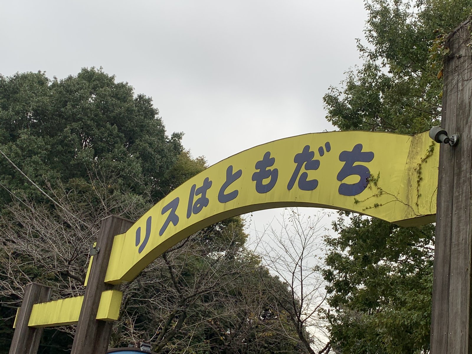 町田リス園