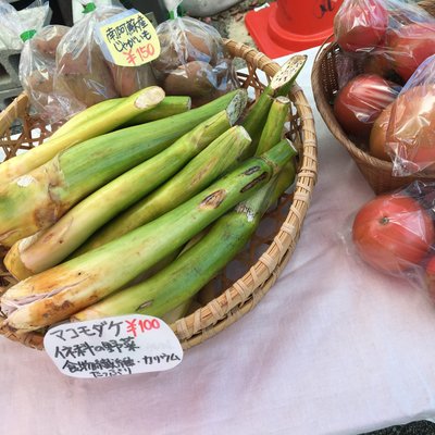 道の駅 あそ望の郷くぎの