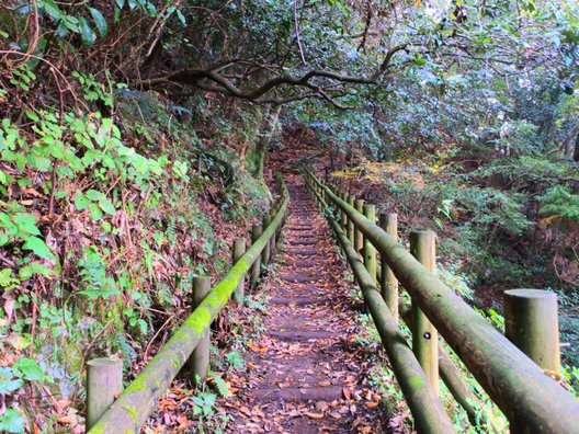 岩湧山