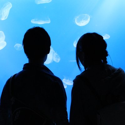 すみだ水族館