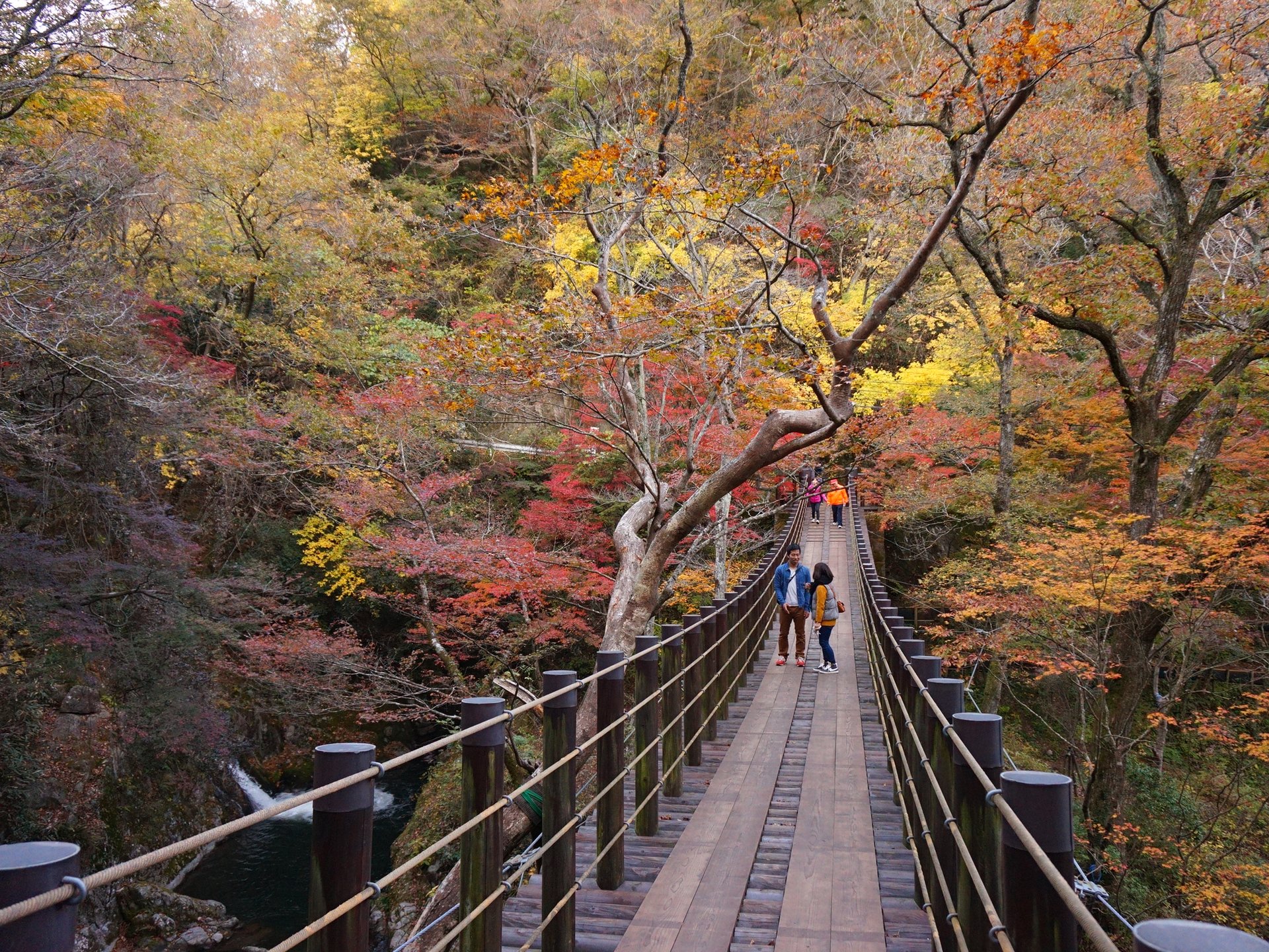 秋の茨城、今が紅葉真っ盛り！もみじ寺に袋田の滝、竜神大吊橋、花貫渓谷・・・茨城紅葉巡り♪