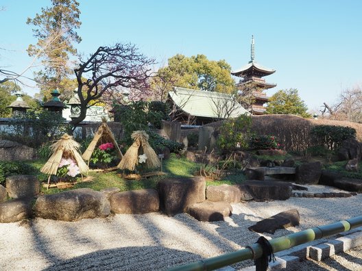 上野東照宮ぼたん苑