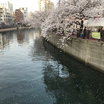 日ノ出町駅