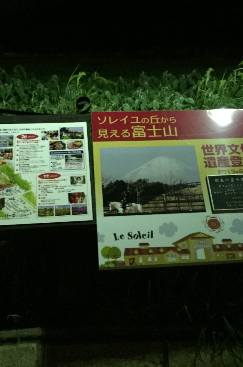 長井海の手公園ソレイユの丘