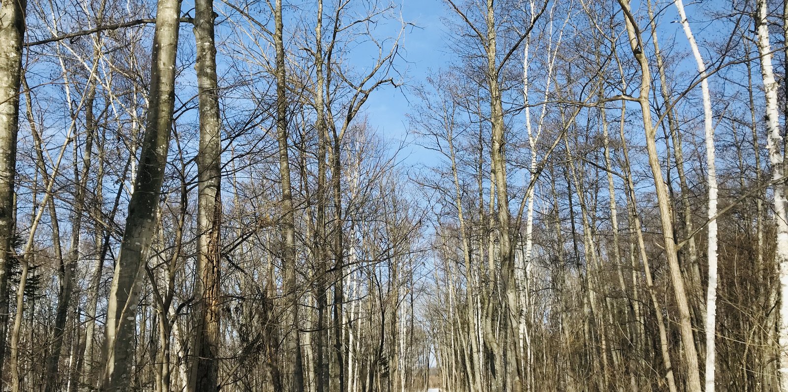 帯広の森 はぐくーむ