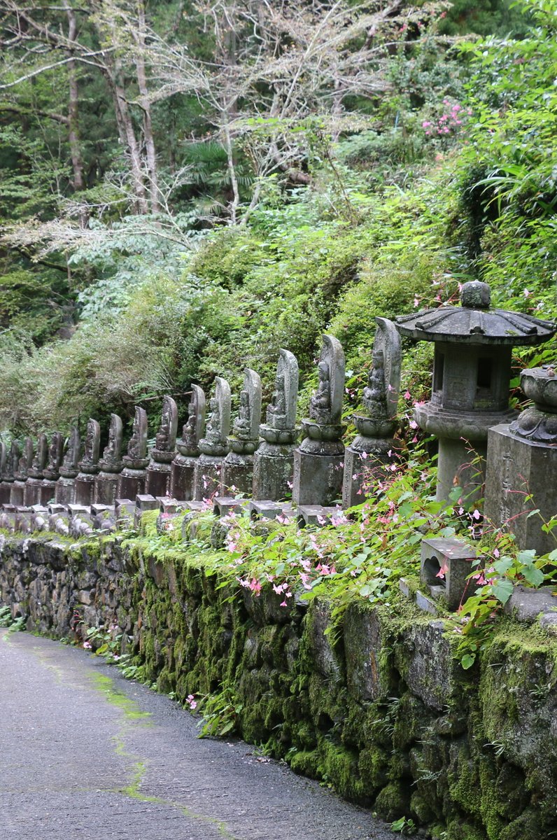 日沢山 水潜寺 (札所三十四番)