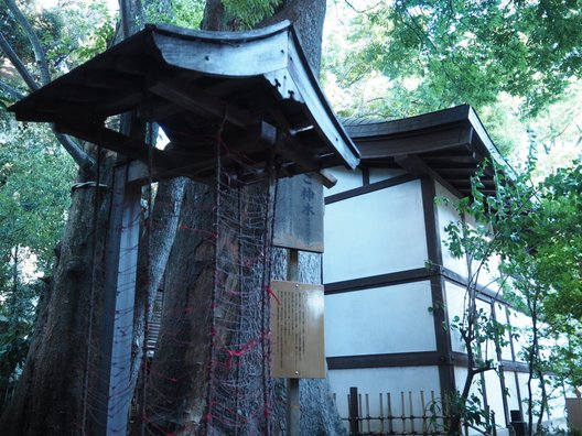 川越氷川神社