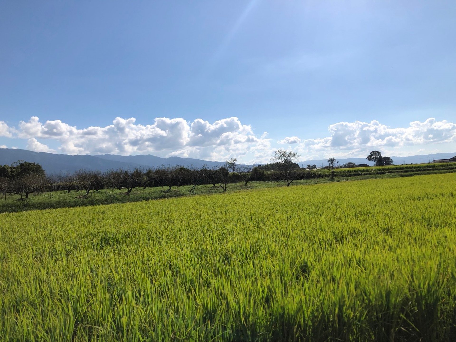 熊本のレトロな町人吉より湯前町へ、ローカル鉄道沿線を行くお手軽散策プラン