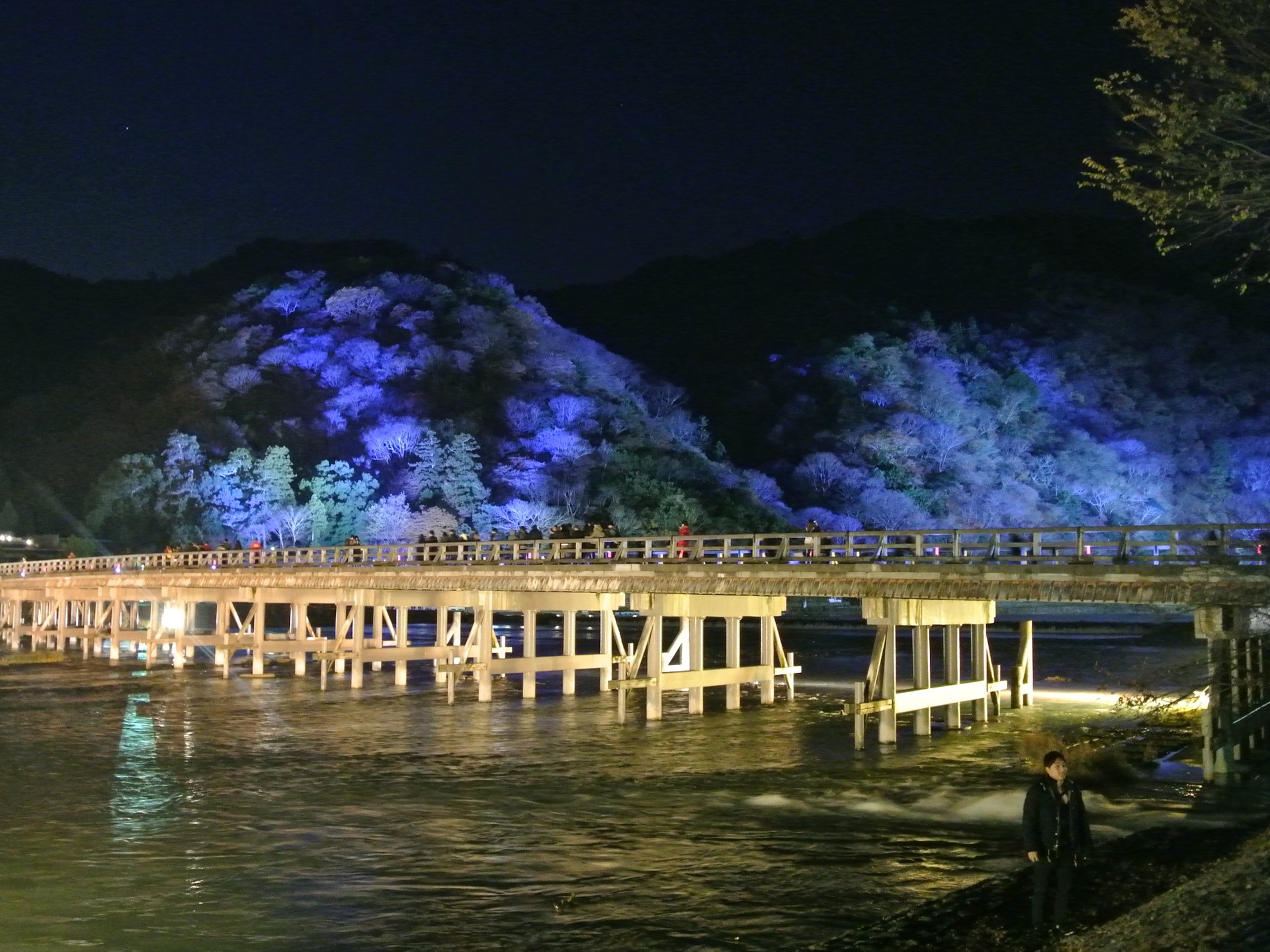 【嵐山】京都冬デートの定番！幽玄な景色を見ながらロマンチックな一時を過ごしませんか？