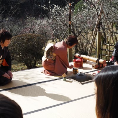 成田山公園内梅林