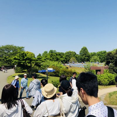 国営昭和記念公園