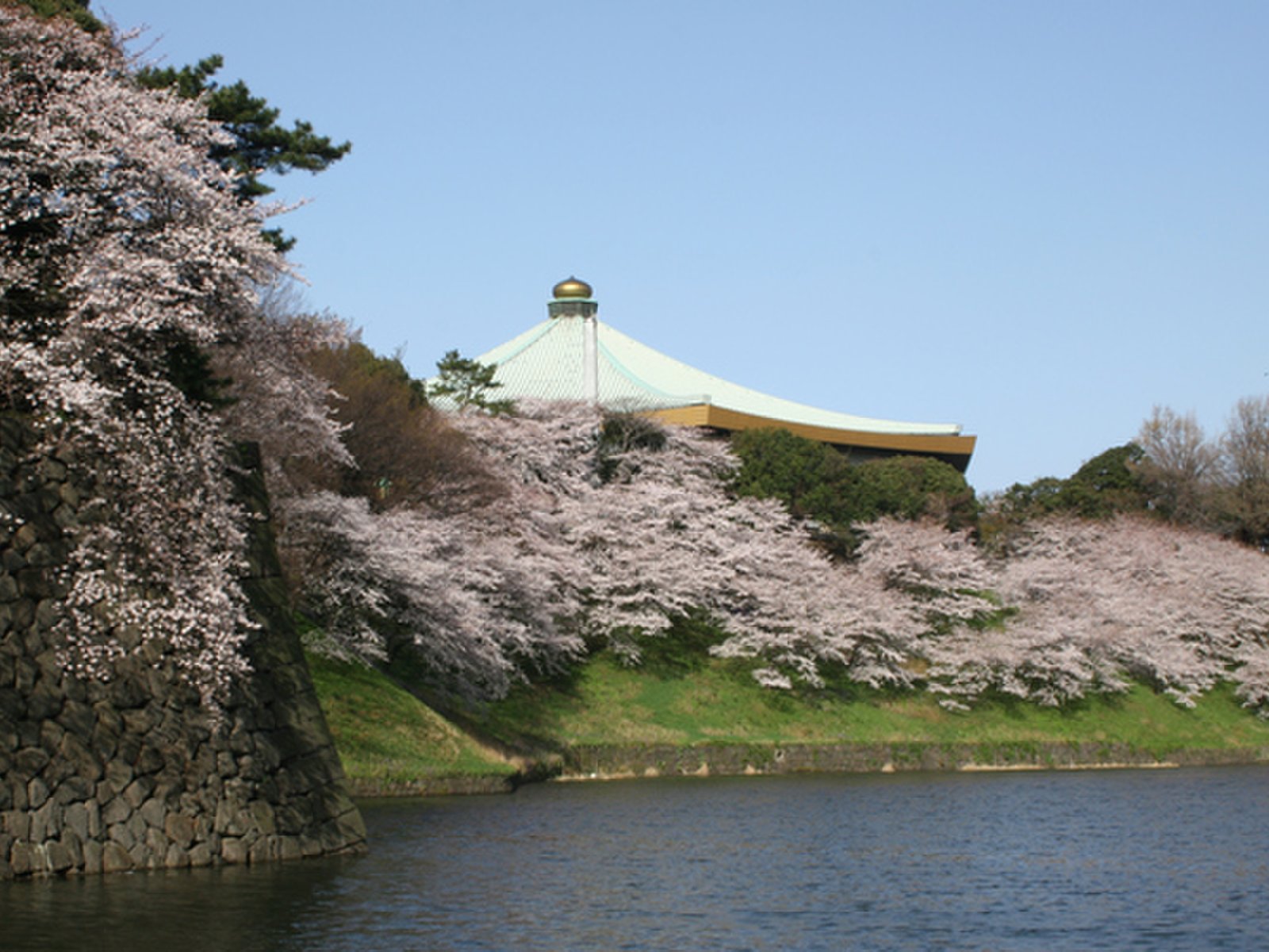 日本武道館