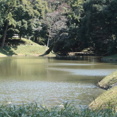 小石川後楽園 大泉水 