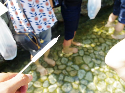 下鴨神社(賀茂御祖神社)