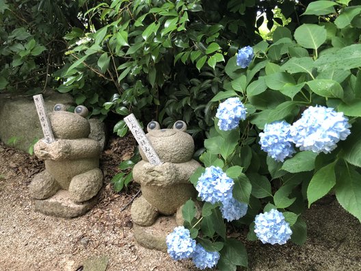 如意輪寺(かえる寺)