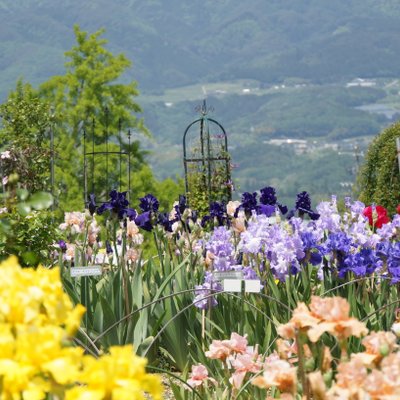 豊丘村　アイリス園