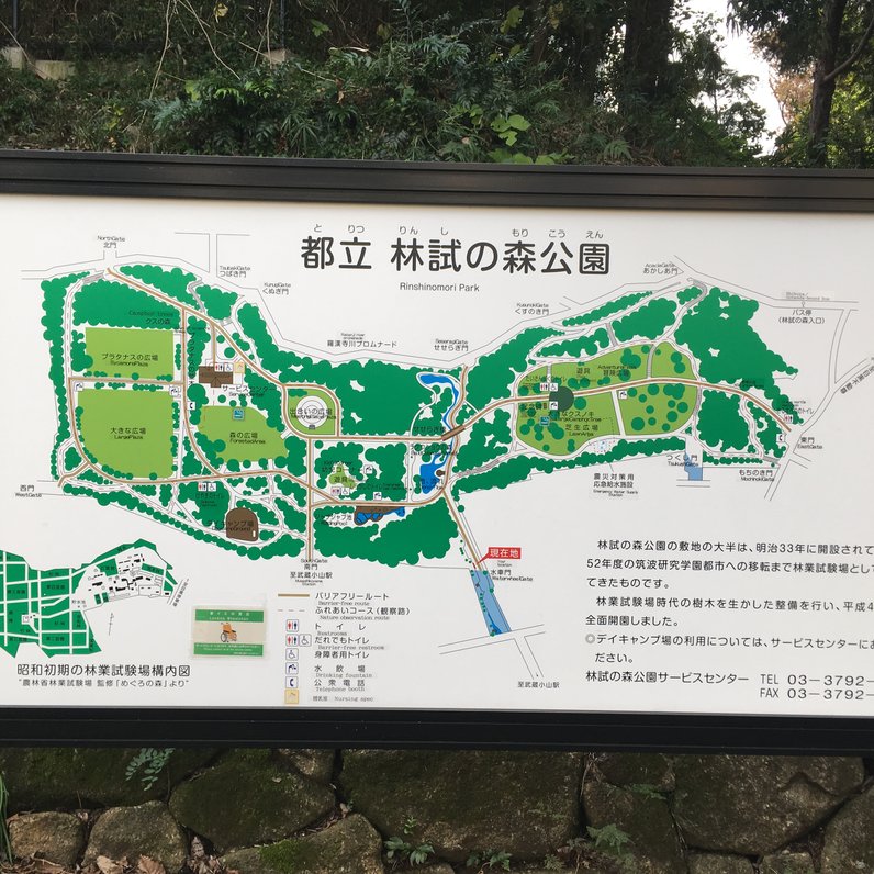 林試の森公園