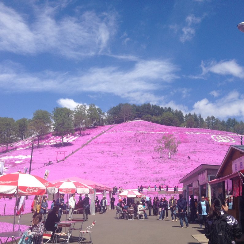 東藻琴芝桜公園キャンプ場